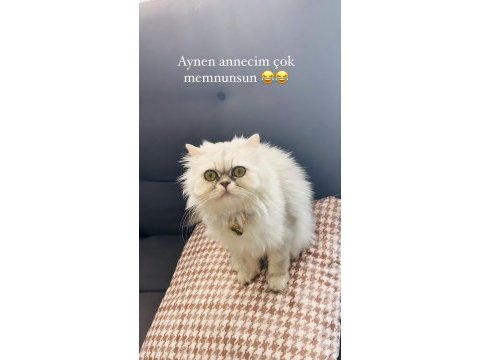 Güzel kızımıza yuva arıyoruz