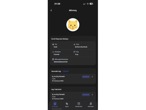 Oyuncu kedimiz yeni yuvasını arıyor