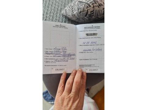Ukrayna pasaportlu ayı surat pomeranian boo