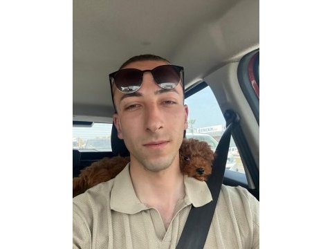 Bakımları tam malzemeleri ile birlikte bebek toy poodle