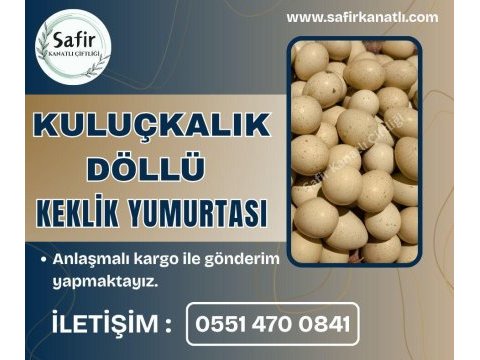 Döllü kuluçkalık keklik yumurtası