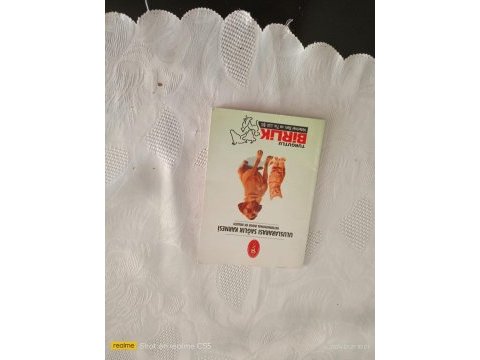 Eğitimli oyuncu bir köpektir