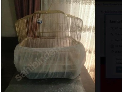 3-6 aylık, erkek sultan papağanı ve kafesi