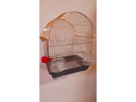 Kafes prinç model tertemiz herşeyi tam muhabbet kuşu