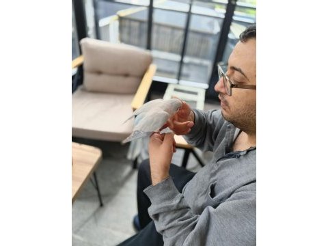 Evcil ele oöza alıskın konusan mutasyon monk