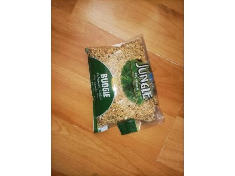 Komple satılık kafes ve hint bülbülü
