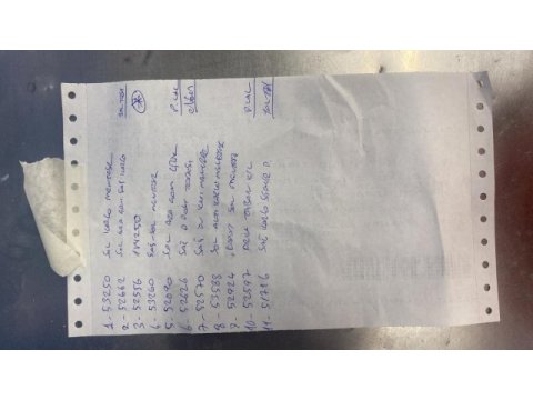 Üretimden yeme düşmüş albino sultan papağanı yavrular