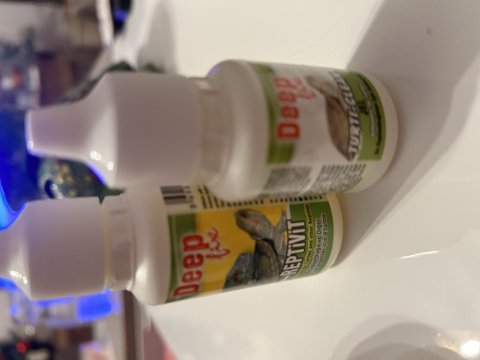 Kırmızı yanaklı su kaplumbağası