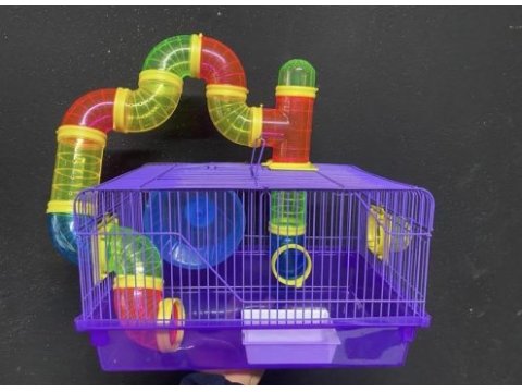 Sevimli hamster ve tüm aksesuarları adrese teslim