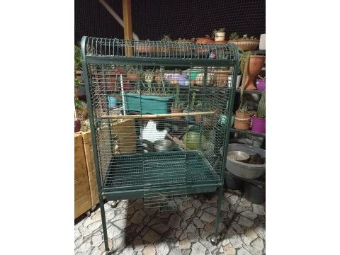 Macaw kakadu sultan papağanı kafes