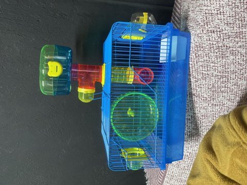 Hamster ve tüm ihtiyaçları için buradayız