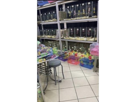 Hamster antalya adrese aynı gün teslim