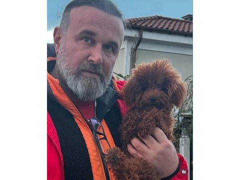 Toypoodle sevimli yavrular ruhsatlı çiftlik 