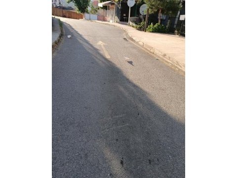 Acil satılık güvercin