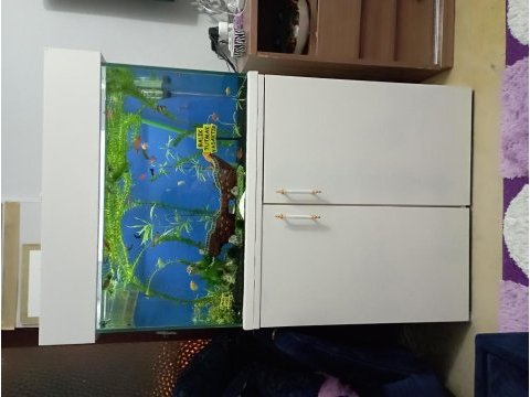 Dolaplı akvaryum