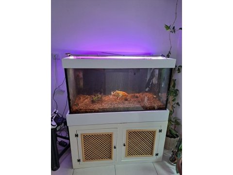 1 cm cam el yapımı demir profil mobilyalı akvaryum