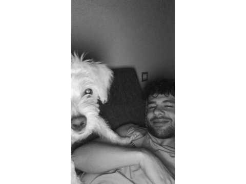 Bütün aşıları mevcut köpeğimiz