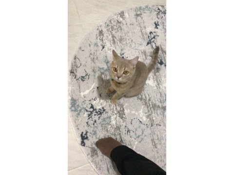 Uysal salep sahibini bekliyor