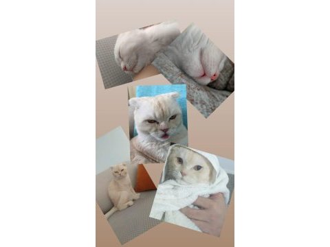 Dünyaya gelecek bebeğimiz için sahiplendirmek zorundayız