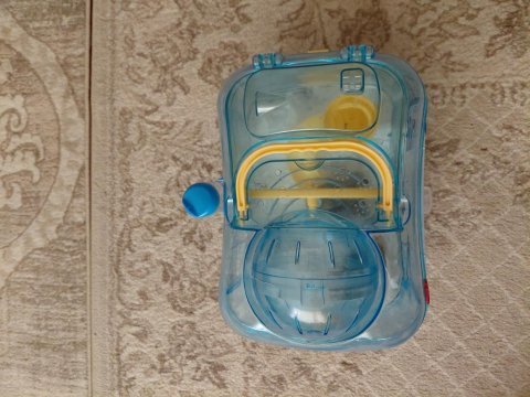 9 campbell hamster ve kafes