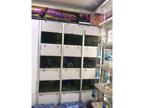 18 gözlü set akvaryum
