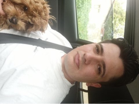 1 yaşında dişi poodle kızımızı sahiplendiriyoruz