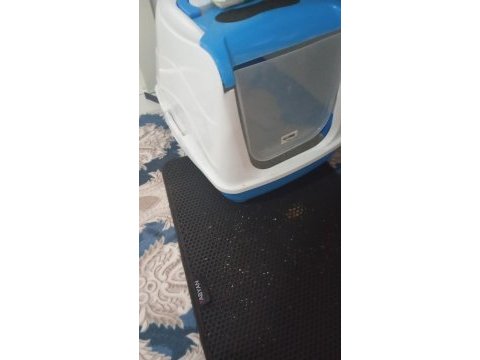 Evimizin aslanı kedimiz