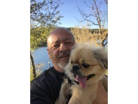 2 yaşında erkek köpeğime dişi eş arıyorum