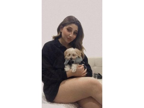 Maltipoo 5 aylık