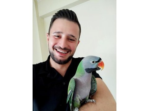 Derbiyan papağanı nadir tür
