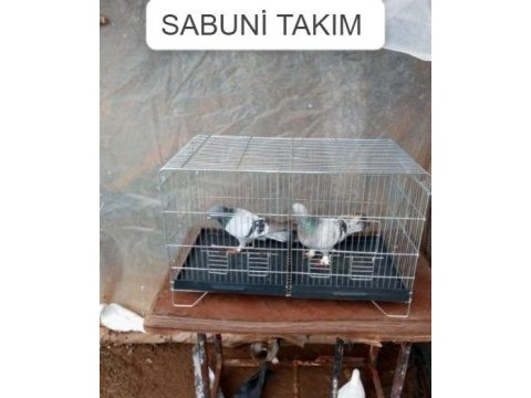 Sabuni takım güvercin