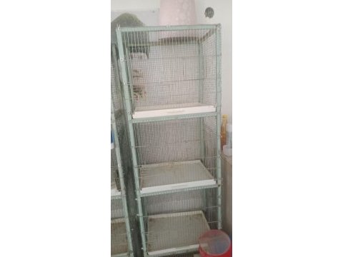 Kuş üretim kafesi 45/35
