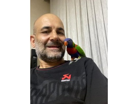 Gökkuşağı lori papağanı