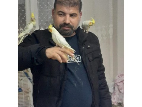 El beslemesi sultan papağanlar