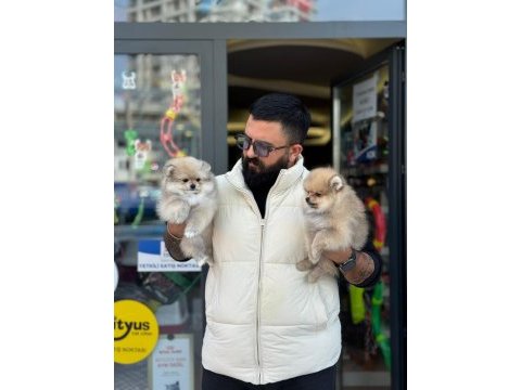 Çağrı çemçem in sizin için seçtiği özel yavrular 