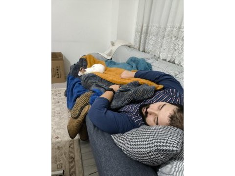 Kısırlaştırılmış kedimize ömürlük aile arıyoruz