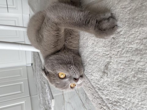 Dünya tatlısı kızımız