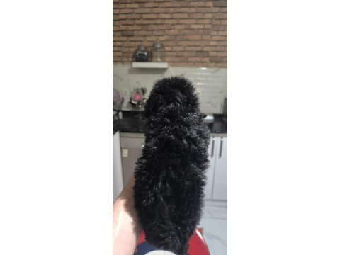 Poodle bebeğim özel renk blec reng