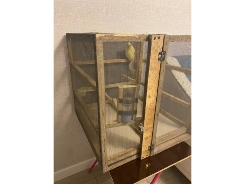50x50x50 kuş kafesi
