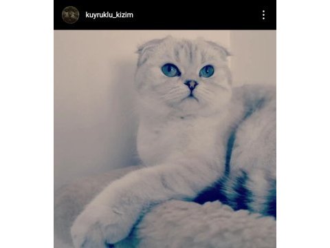 Çok sakin ve seveceb 1 kez doğum yaptı