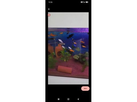 İçindeki bitkiler balıklar kökler