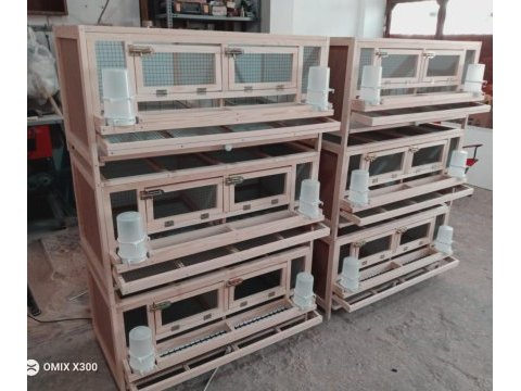 Bıldırcın güvercin keklik kafes kümes ve yumurta