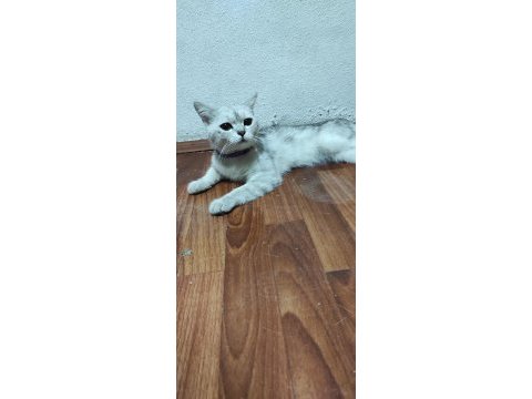 Bir yaşında erkek