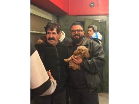 Teacup koyu renkli maltipo yavrularımız