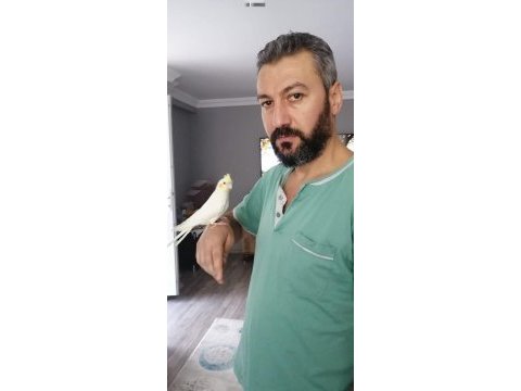 Alışkın sultan papağanımız
