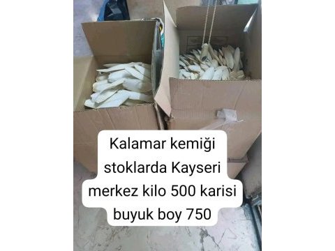 Kalamar kemiği