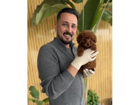 Referans yavru köpeklerimiz