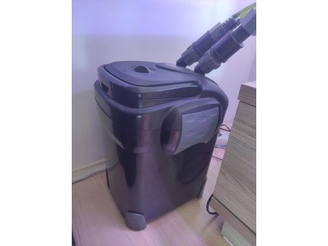Akvaryum, dış filtre, iç dekor malzemeleri ve balıklar