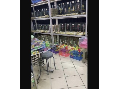 You ask for a hamster well bring it to antalya