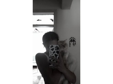 Uysal ailevi sorunlar için sahiplendirilecek